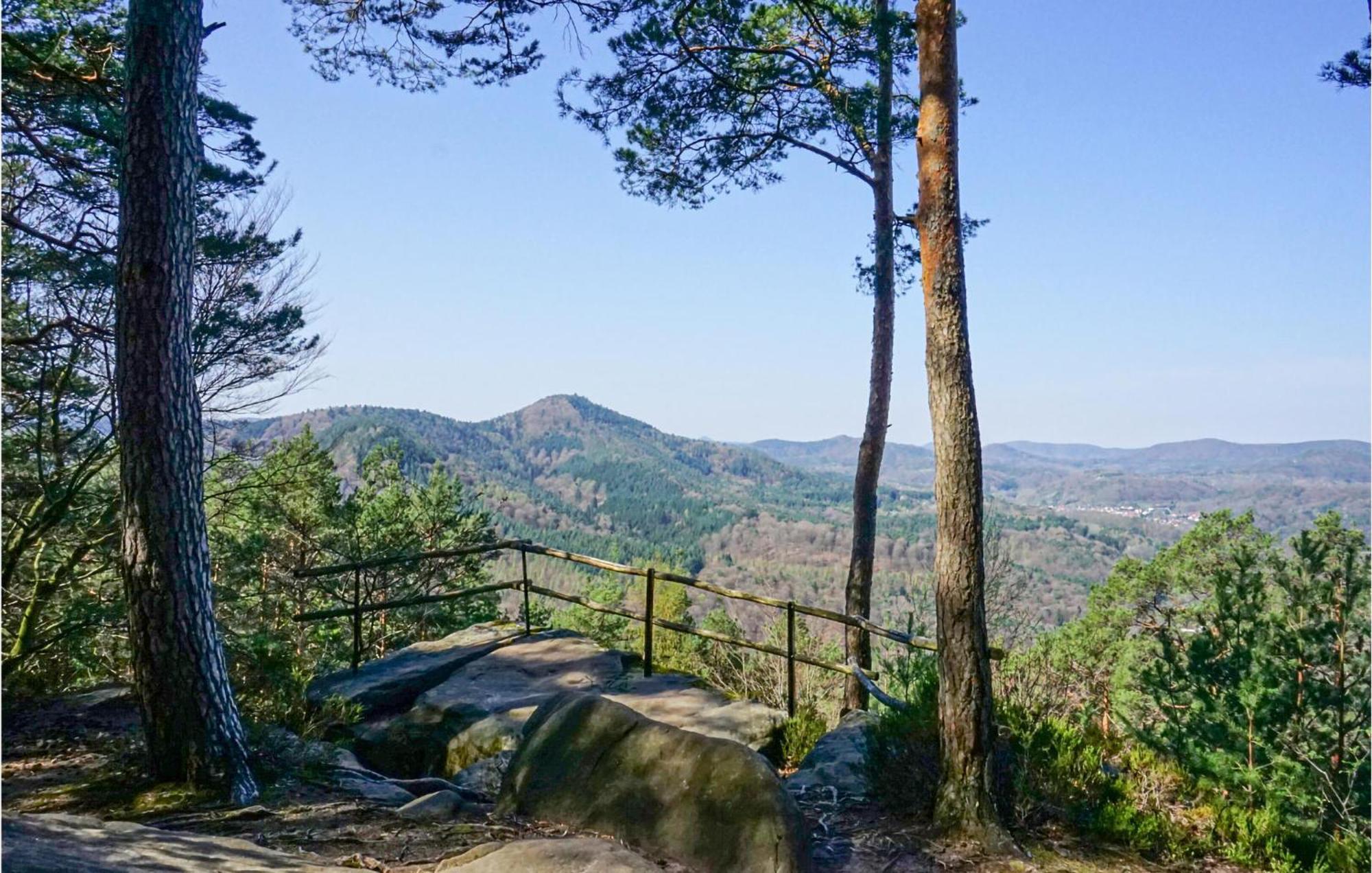 Amazing Apartment In Hinterweidenthal With Wifi Kültér fotó